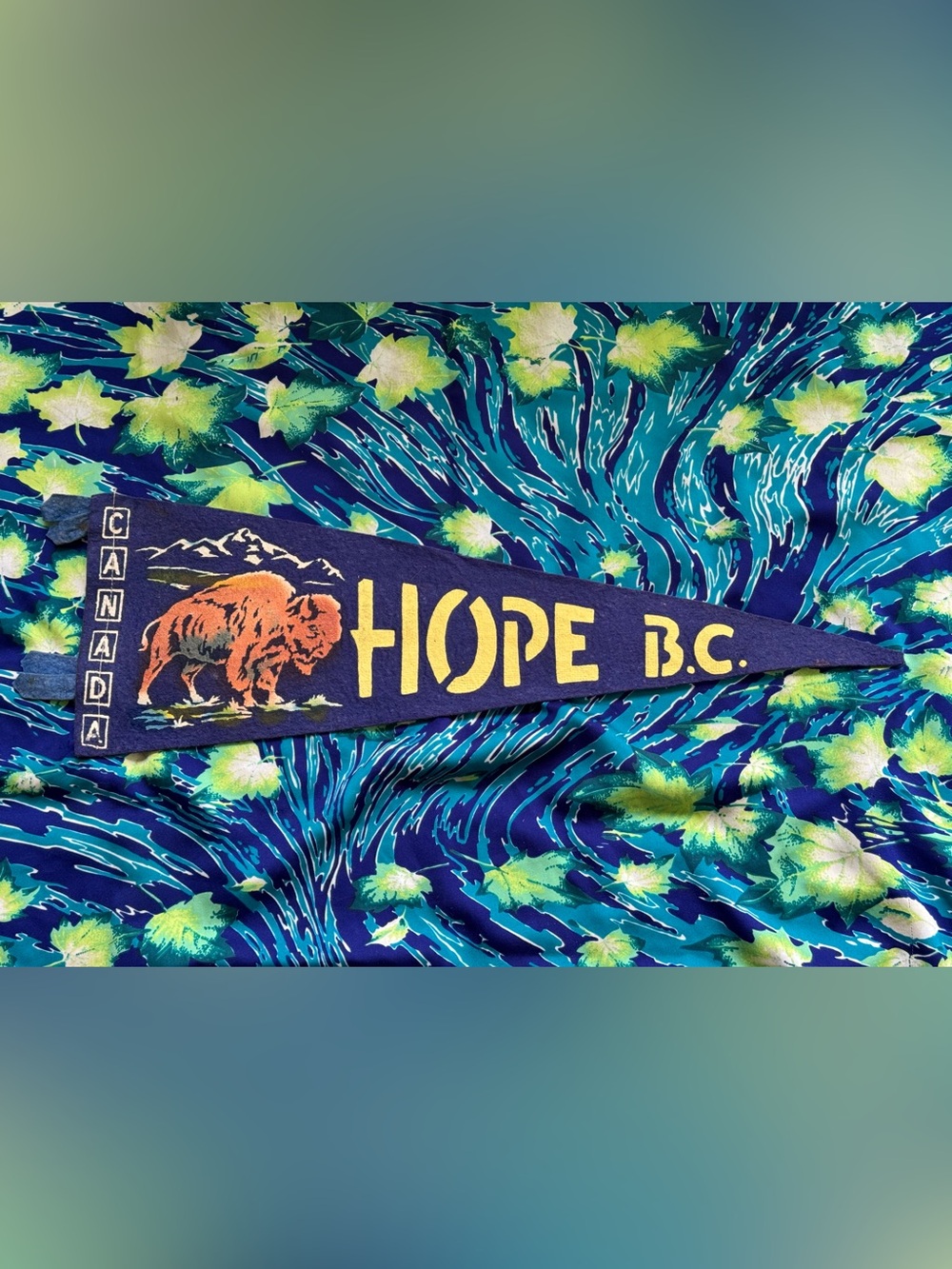 ✨Vintage 1950’s Hope BC Pennant Flag✨